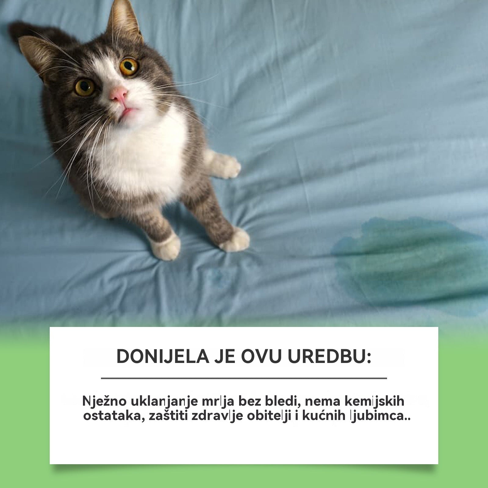 ✨【Kupite 1, dobijte 1 gratis】🐶🐱Sredstvo za uklanjanje mrlja za kućne ljubimce, mačke i pse