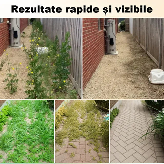 【9 vrećica】💥Moćan 2-u-1 herbicid 💥Posebno dizajniran za suzbijanje korova otpornih na glifosat, djeluje unutar 6 sati, uništavajući sintezu proteina i pigmenata u korovu!